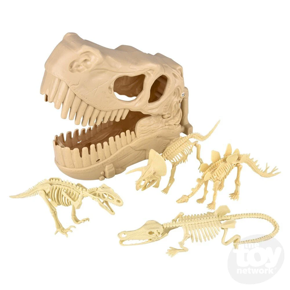10in Dinosaur Fossil Skull Set - Image 2