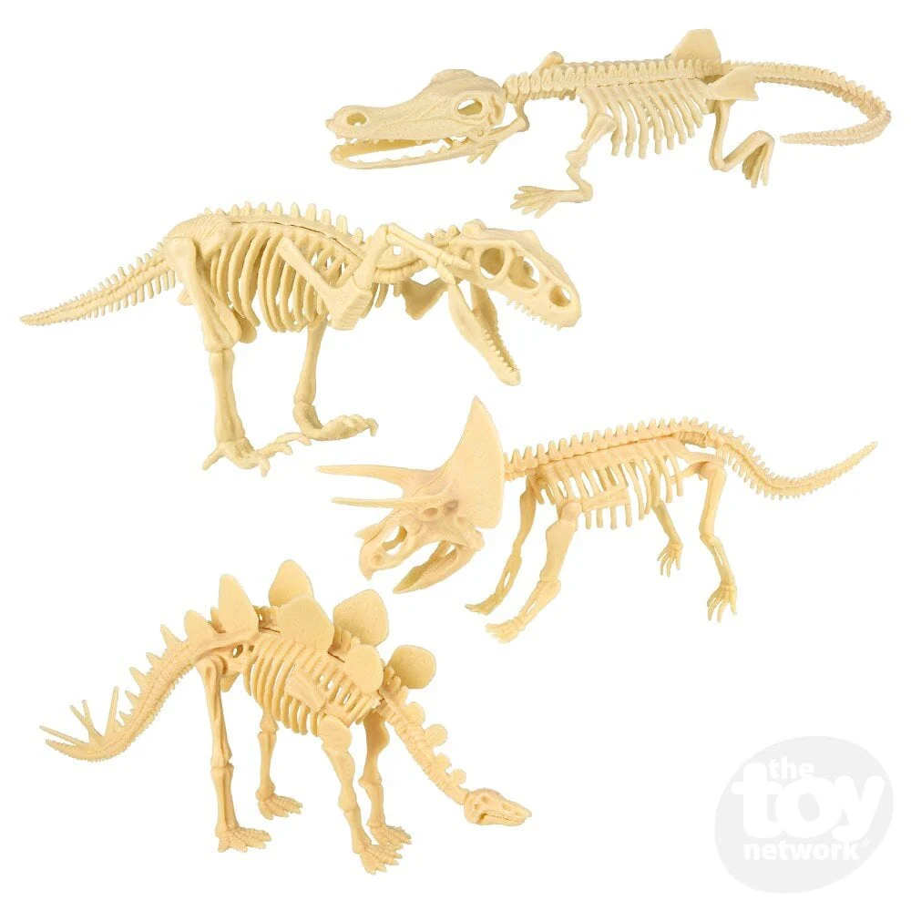 10in Dinosaur Fossil Skull Set - Image 3