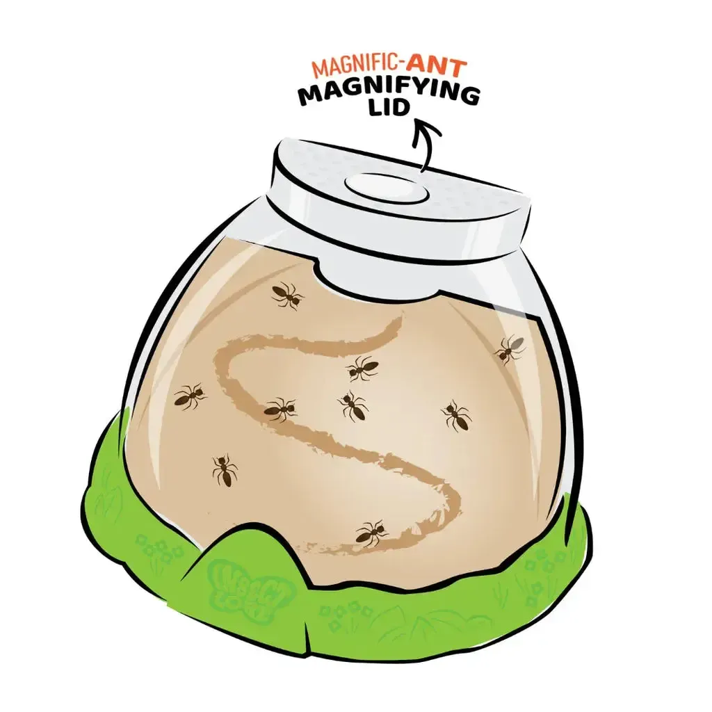 Ant Hill with Prepaid Voucher - Image 3