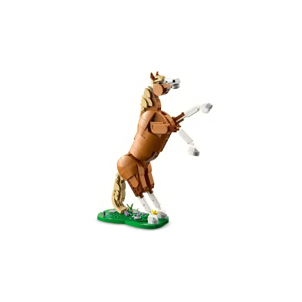 Beautiful Horse - Image 3