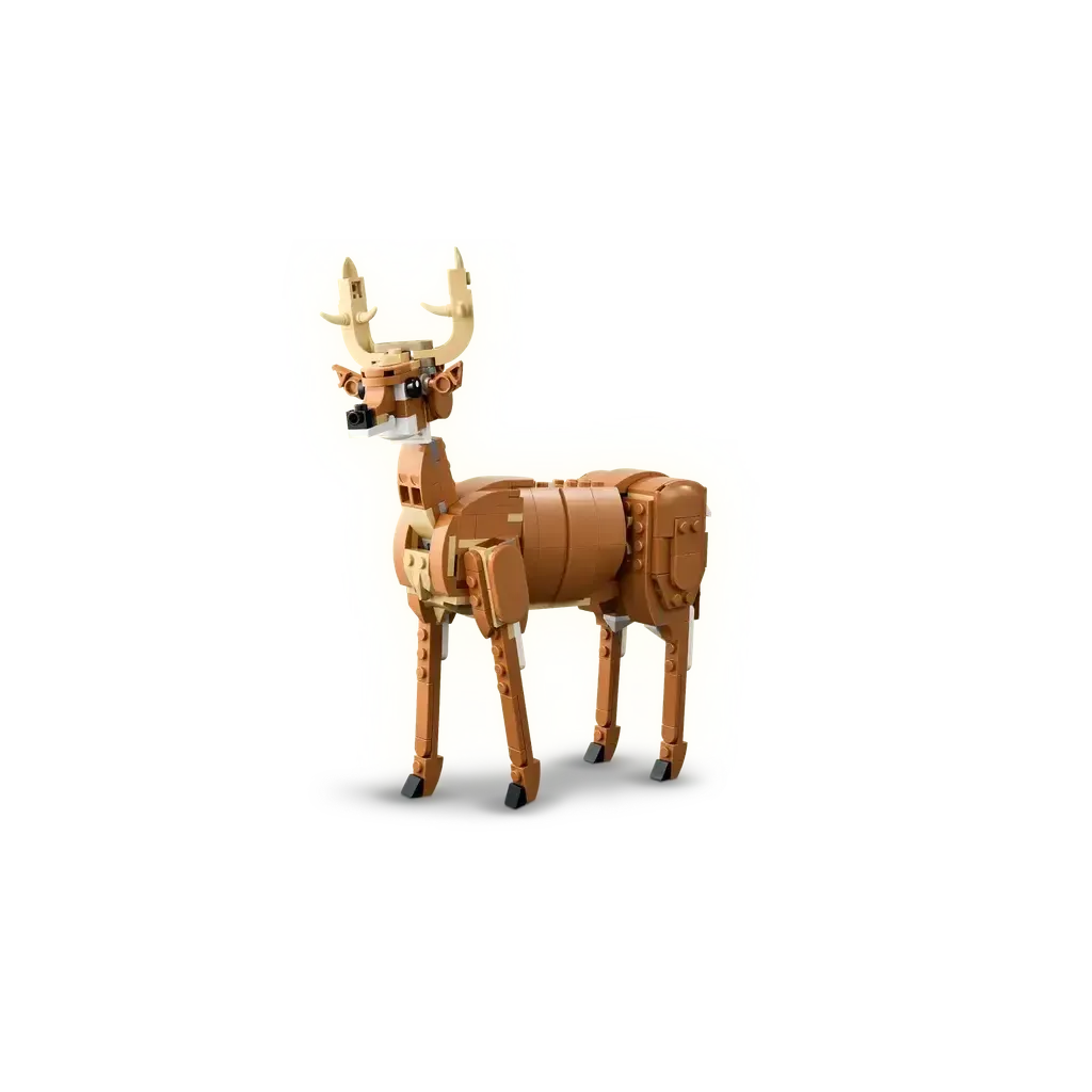 Beautiful Horse - Image 4