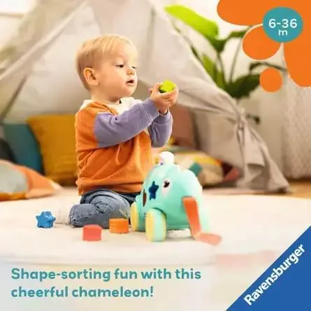 Chameleon Color & Shape Sorter - Image 8