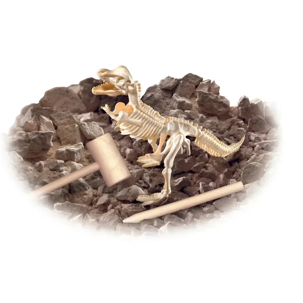 Diggin' Up Dinosaurs T-Rex Smithsonian - Image 2