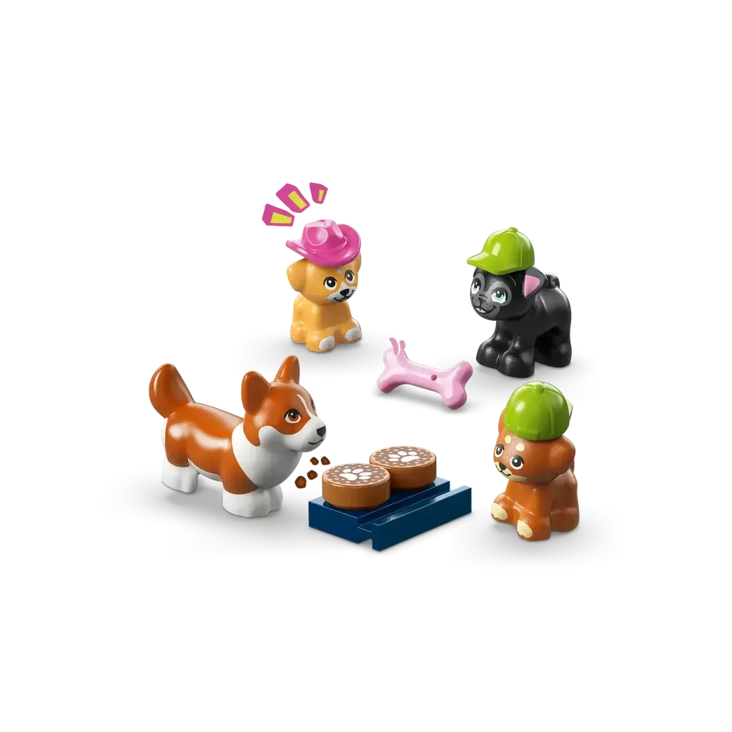 Dog Treats Bakery - Image 6