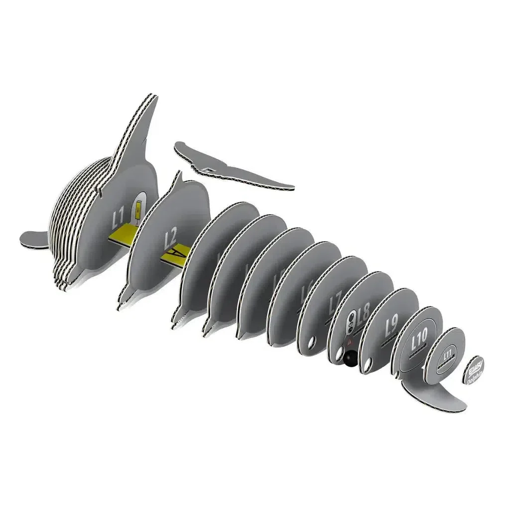 Dolphin 3D Puzzle - Image 3