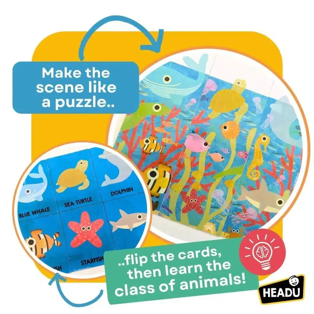 First Animal Encyclopedia Montessori Flash Cards - Image 3