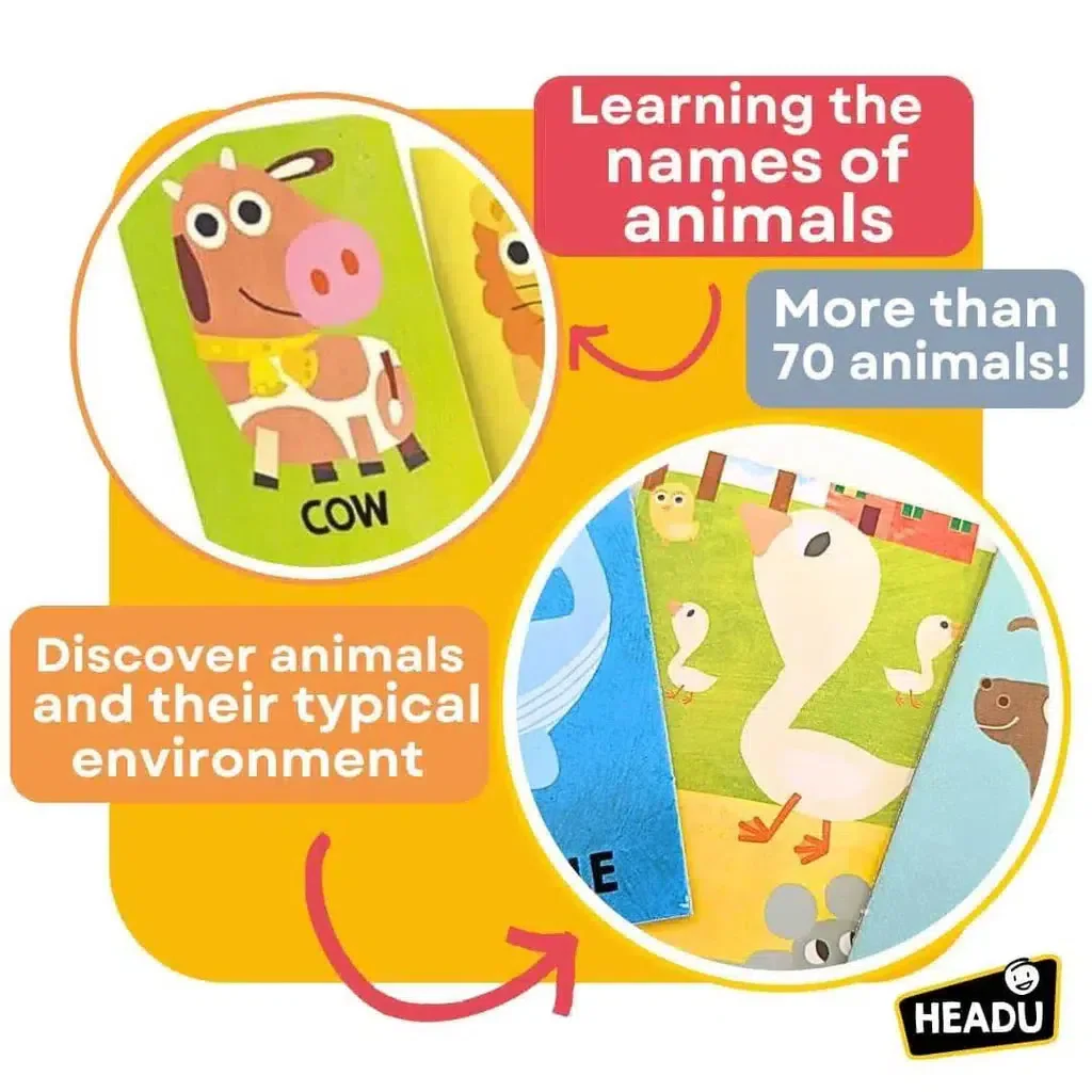 First Animal Encyclopedia Montessori Flash Cards - Image 4