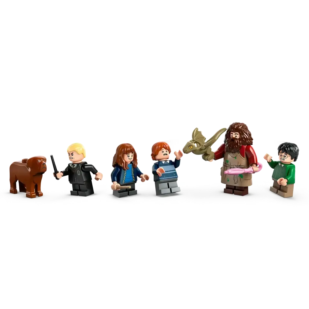 Hagrid's Hut: An Unexpected Visit - Image 8