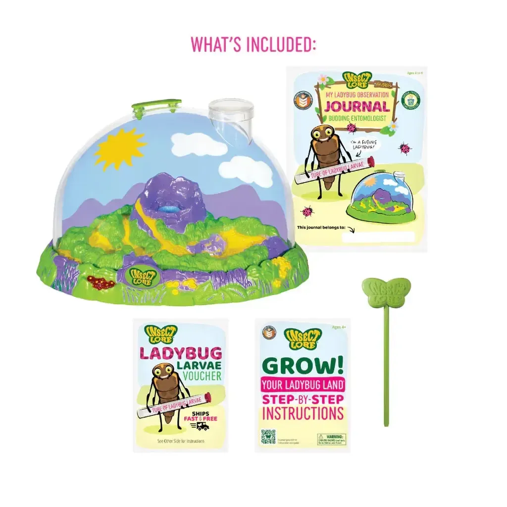 Ladybug Land with Prepaid Voucher - Image 2