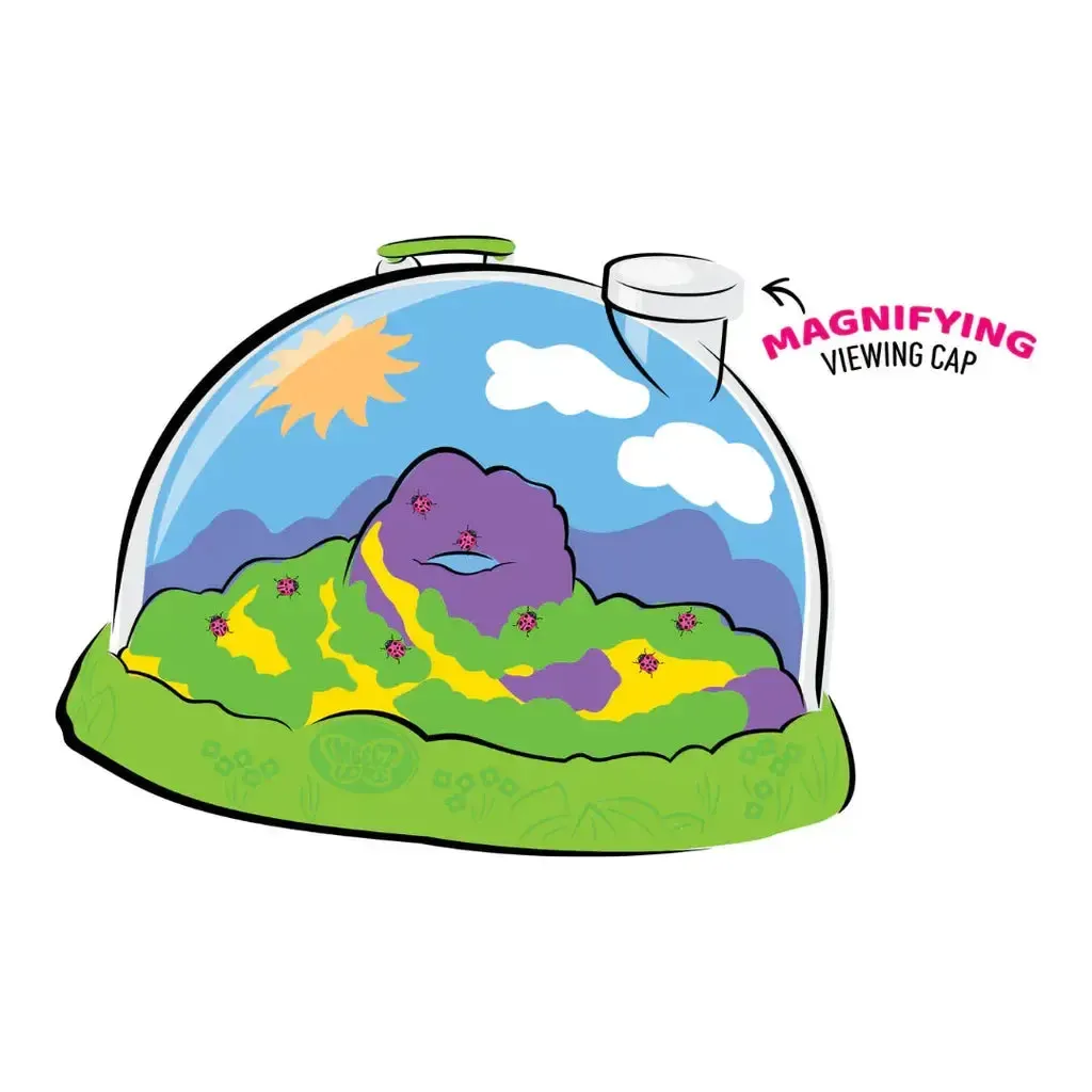 Ladybug Land with Prepaid Voucher - Image 3