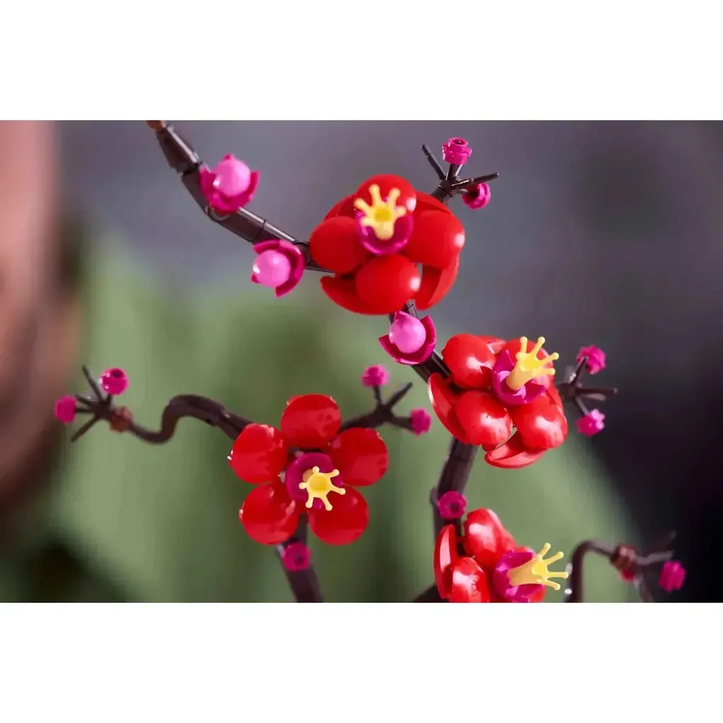 Plum Blossom - Image 5