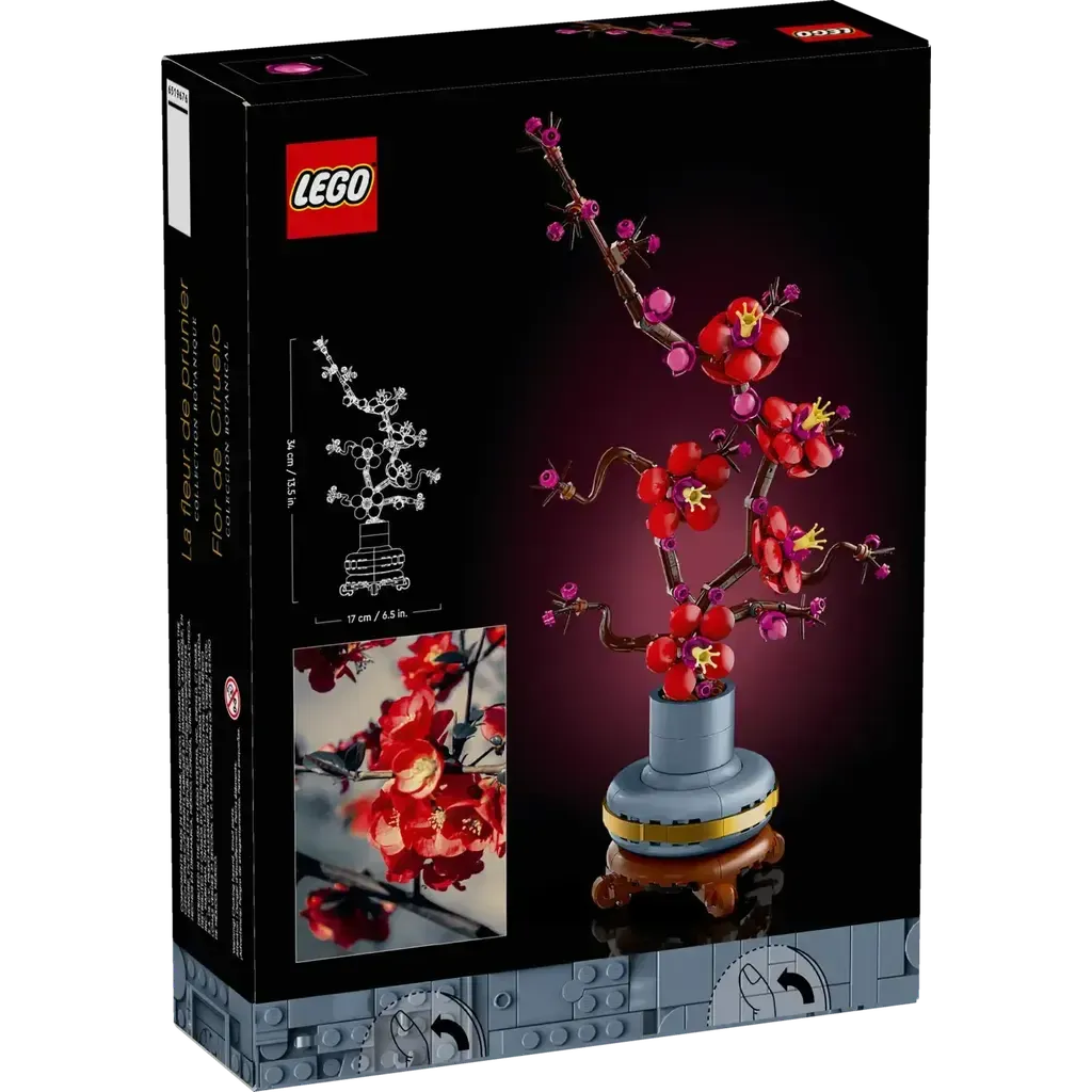 Plum Blossom - Image 6