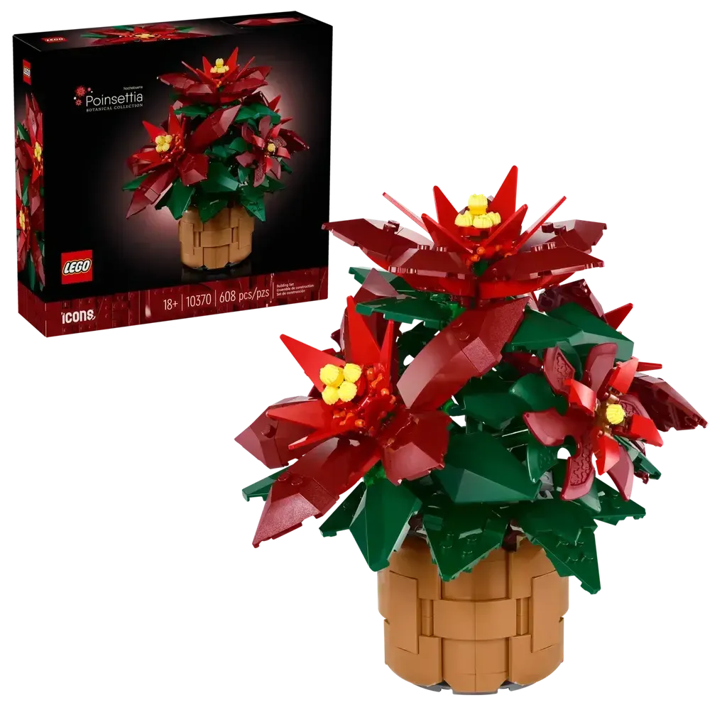 Poinsettia - Image 2