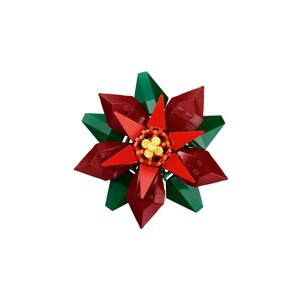 Poinsettia - Image 3