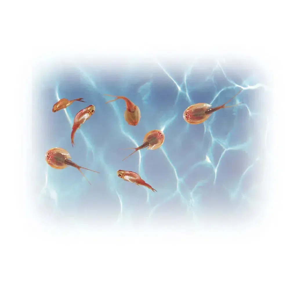 Prehistoric Sea Monsters Smithsonian - Image 2