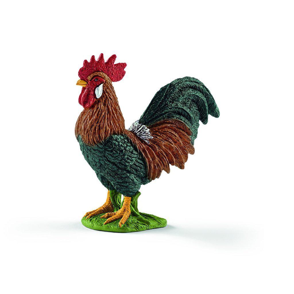 Rooster