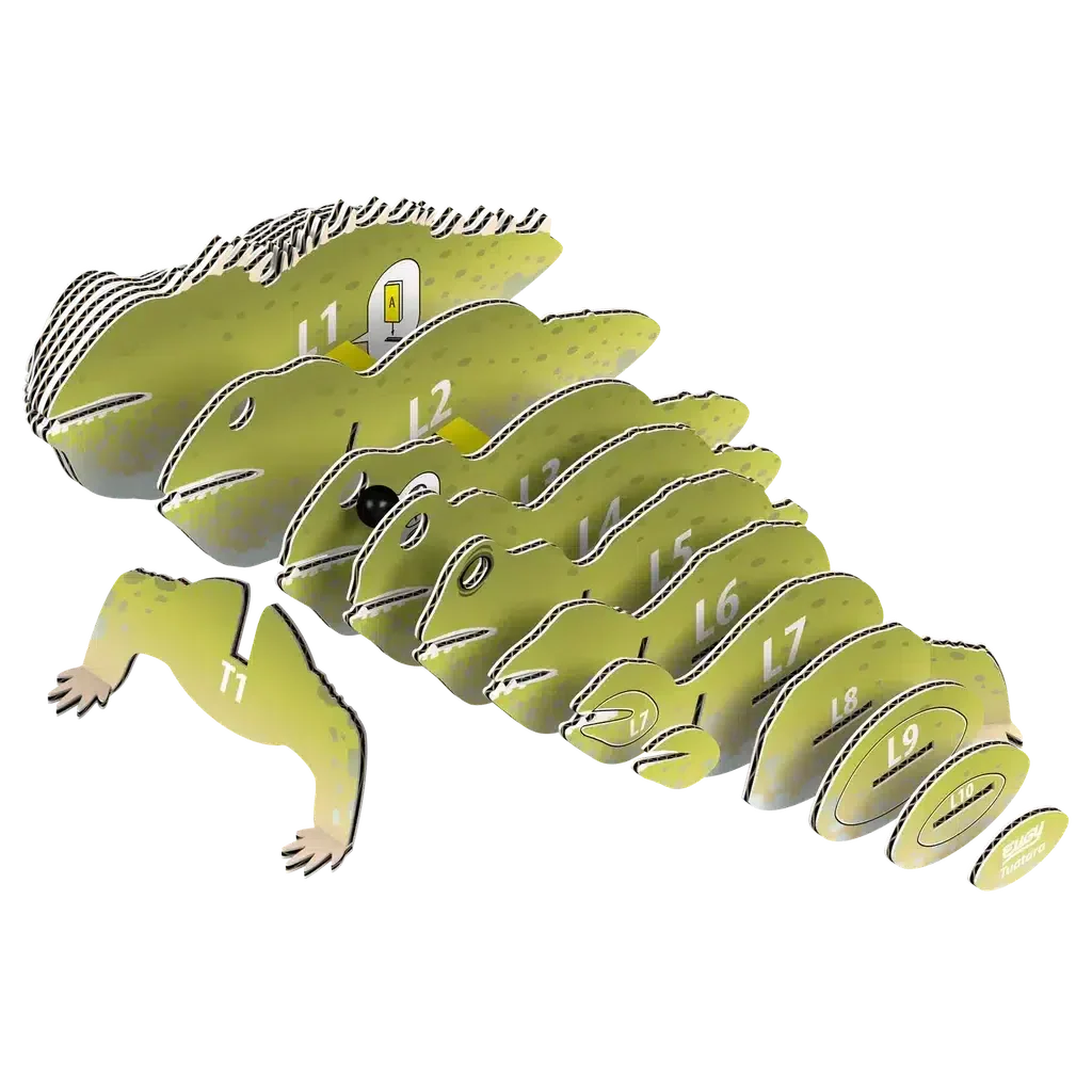 Tuatara 3D Puzzle - Image 3