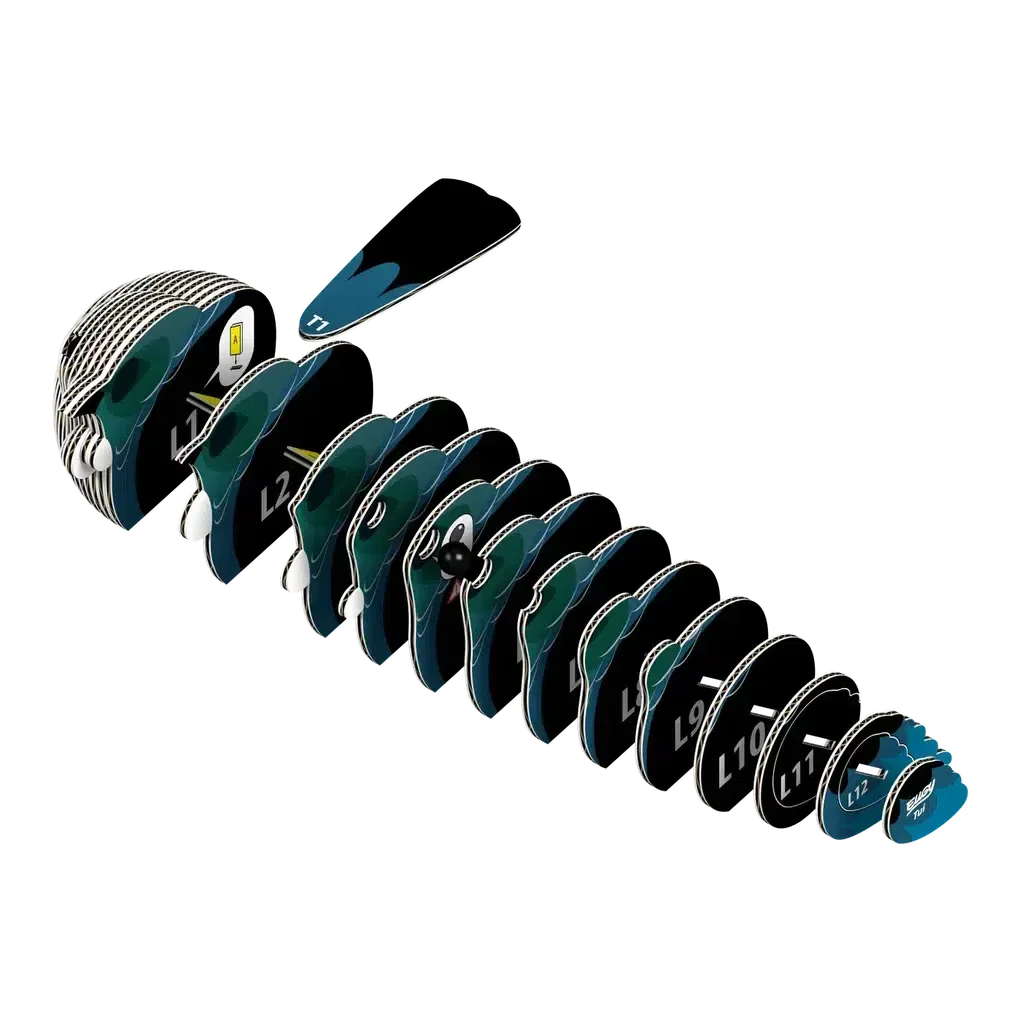 Tui 3D Puzzle - Image 3