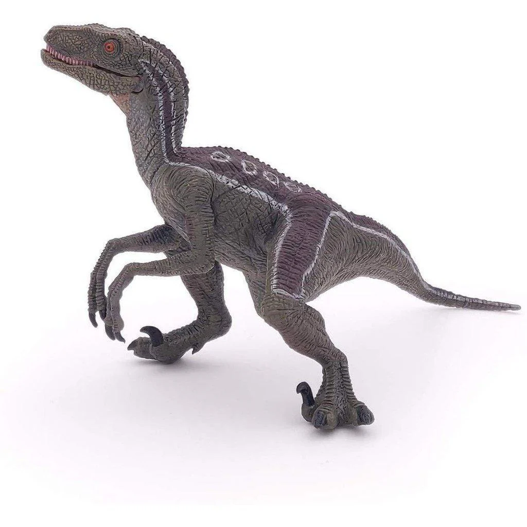 Velociraptor