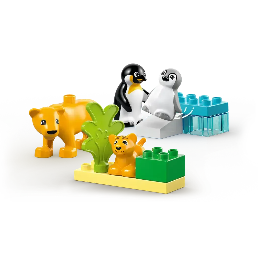 Wild Animal Families: Penguins & Lions - Image 3