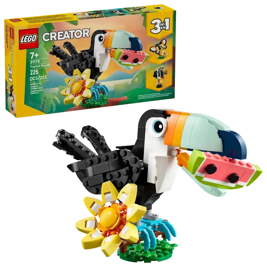 Wild Animals: Tropical Toucan - Image 2