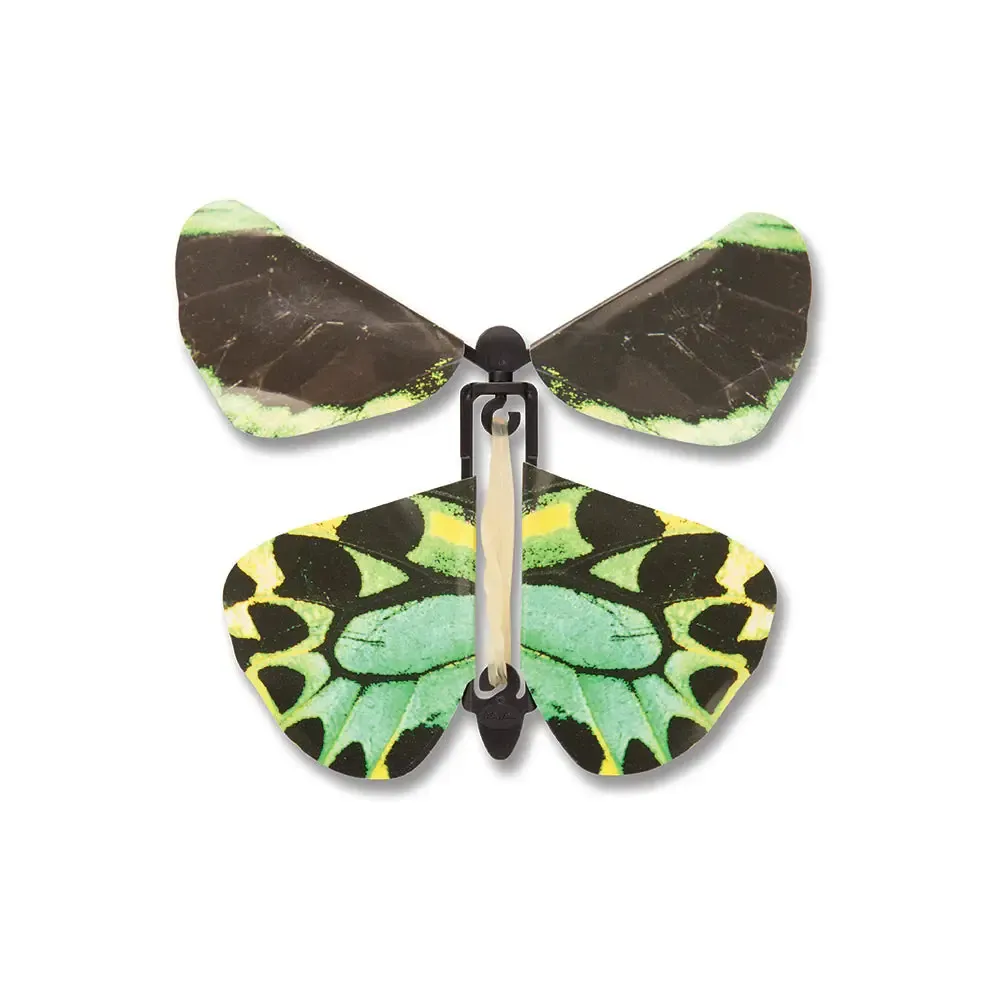 Windup Butterflies - Image 2